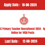 HSSC Primary Teacher Recruitment 2024